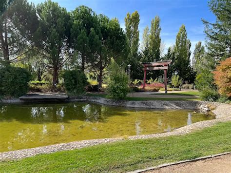 Arroyo de la Encomienda arranca cinco días de fiesta por todo lo。